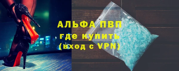 эйфоретик Гусь-Хрустальный
