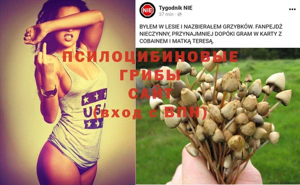 каннабис Абаза