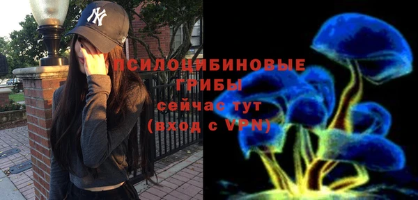 МДПВ Абдулино