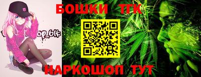 МДПВ Донской
